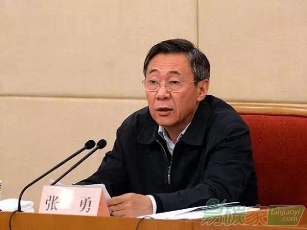 國(guó)家發(fā)展改革委黨組成員、副主任張勇