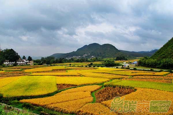 農(nóng)田固碳措施對溫室氣體減排影響的研究進(jìn)展分析