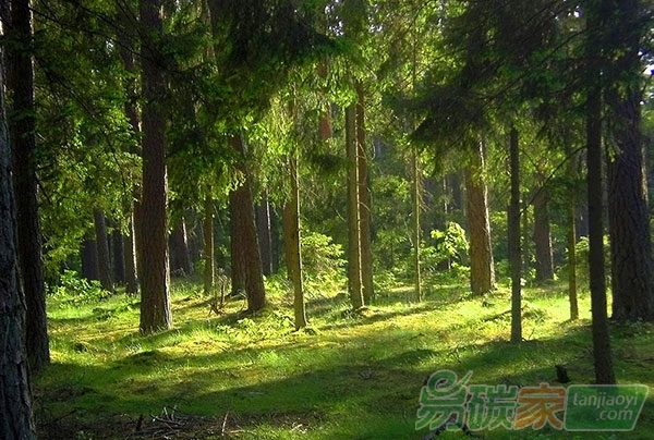 森林經(jīng)營(yíng)碳匯項(xiàng)目方法學(xué)