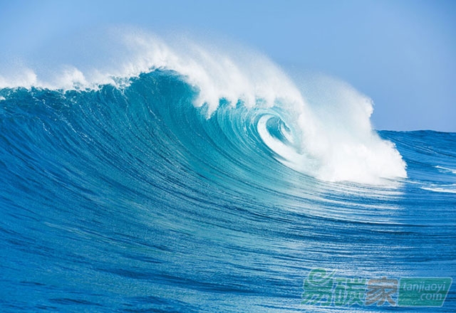 平陽(yáng)啟動(dòng)藍(lán)色藍(lán)碳計(jì)劃