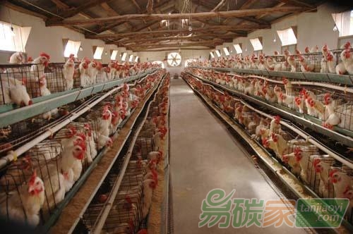 北京市開展養(yǎng)殖業(yè)溫室氣體清單編制與監(jiān)測(cè)助力畜牧業(yè)低碳發(fā)展