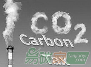 一種“人見(jiàn)人愛(ài)”的碳稅