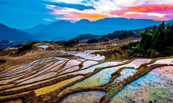 人民日?qǐng)?bào)：靠山吃山，做足綠色大文章