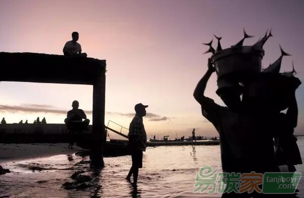 比特幣背后的區(qū)塊鏈技術(shù)，會是建立環(huán)境保護(hù)信任的關(guān)鍵嗎？