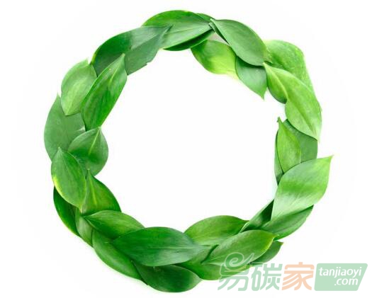 綠色經(jīng)濟(jì)、循環(huán)經(jīng)濟(jì)、低碳經(jīng)濟(jì)，三者之間究竟是什么關(guān)系？