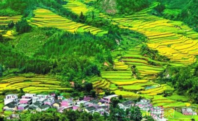 推動(dòng)“一帶一路”ESG投資主流化發(fā)展