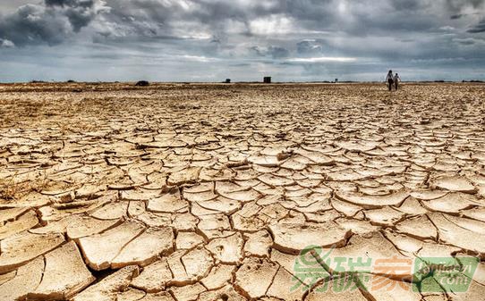 再問碳排放：從增到減究竟有多遠(yuǎn)？