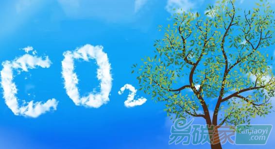 “人工樹(shù)葉”讓二氧化碳變廢為寶