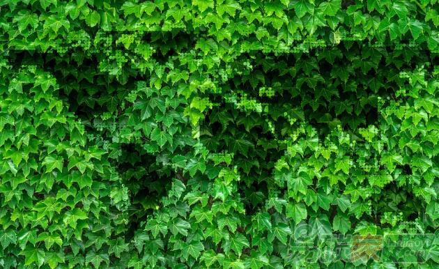 國(guó)家人社部新職業(yè)“碳排放管理員”|