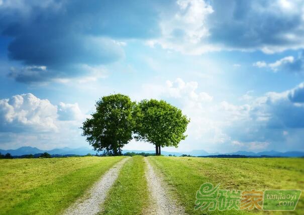 CCER突然火爆，監(jiān)管部門正整頓林業(yè)碳匯亂象